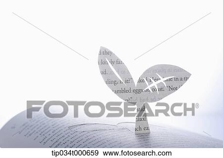 Stock Photo - Paper craft of sprout from the book. Fotosearch