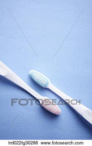 Pink and blue tooth brushes together View Large Photo Image Stock Photograph - Pink and blue tooth brushes together. Fotosearch