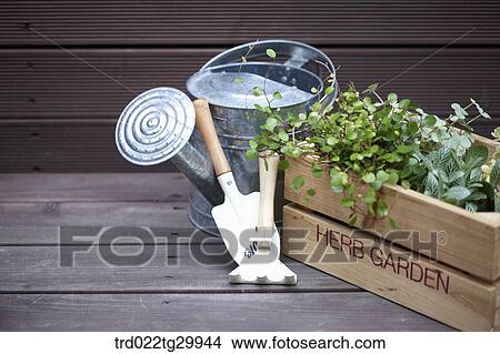 plant in flower pots and gardening tools View Large Photo Image Picture - plant in flower pots and gardening tools. Fotosearch