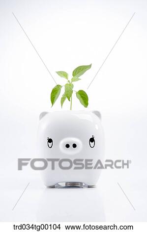 plant in piggy bank View Large Photo Image Picture - plant in piggy bank. Fotosearch