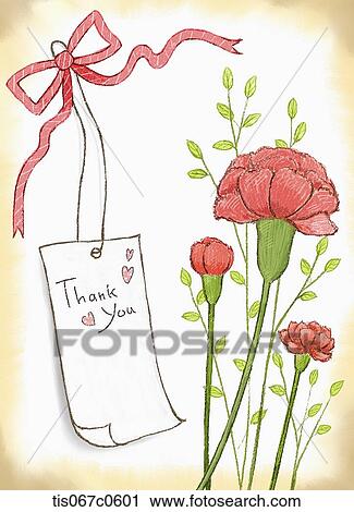 Stock Image - Red carnation and 'Thank you' tag. Fotosearch