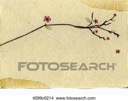 Red flower tree on the paper View Large Photo Image Picture - Red flower tree on the paper. Fotosearch