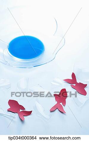 Red goldfishes and a broken fishbowl View Large Photo Image Picture - Red goldfishes and a broken fishbowl. Fotosearch