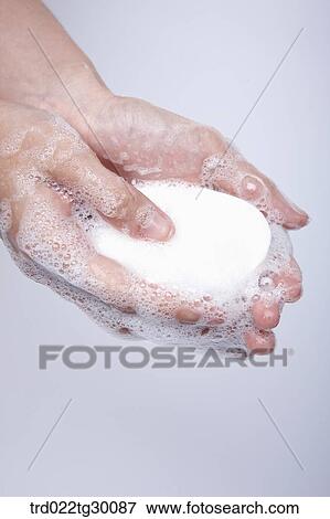 soap in hands View Large Photo Image Stock Photo - soap in hands. Fotosearch