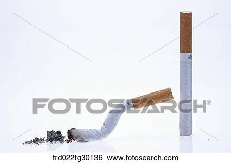 Stacked cigarettes with other scatted cigarettes around View Large Photo Image Stock Photograph - Stacked cigarettes with other scatted cigarettes around. Fotosearch