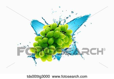 The grapes with white background View Large Photo Image Stock Image - The grapes with white background. Fotosearch