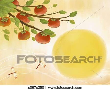 The image of persimmon tree, dragon fly, and full moon View Large Photo Image Stock Image - The image of persimmon tree, dragon fly, and full moon. Fotosearch