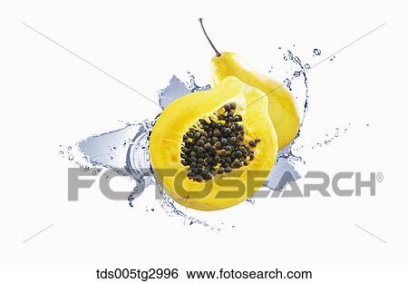 The papaya with white background View Large Photo Image Stock Photograph - The papaya with white background. Fotosearch