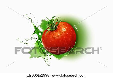 The tomato with white background View Large Photo Image Stock Photo - The tomato with white background. Fotosearch