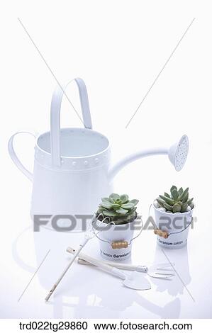 Stock Image - watering can and flower pots with gardening tools. Fotosearch