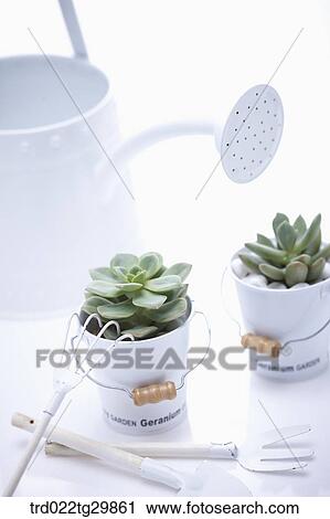 Stock Image - watering can and flower pots with gardening tools. Fotosearch