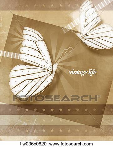 White and brown butterfly with vintage life View Large Photo Image Stock Image - White and brown butterfly with vintage life. Fotosearch