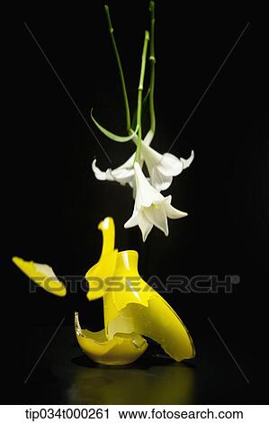 Stock Image - White lily and broken yellow vase. Fotosearch