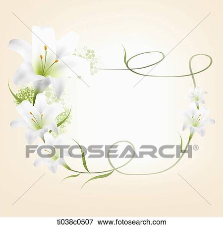 Stock Photo - White lily frame. Fotosearch