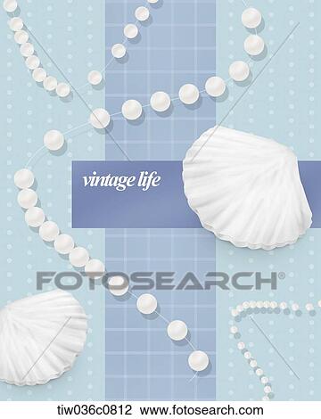 White sea shell and pearl with vintage life View Large Photo Image Stock Image - White sea shell and pearl with vintage life. Fotosearch