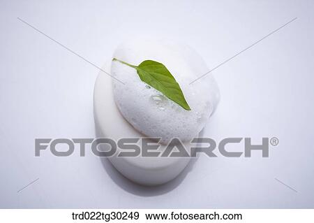 Stock Photo - White soap with bubble foam and green leaf. Fotosearch