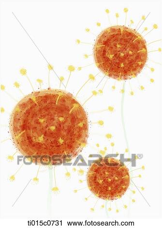 orange flower background View Large Illustration Clip Art - orange flower background. Fotosearch