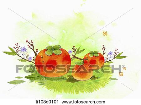 ripe persimmons View Large Illustration Clip Art - ripe persimmons . Fotosearch