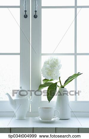 Stock Photo - a coffee pot and a mug placed with a vase with flower by a window. Fotosearch