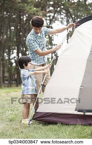 Stock Photo - a father and son building a tent in camping place. Fotosearch