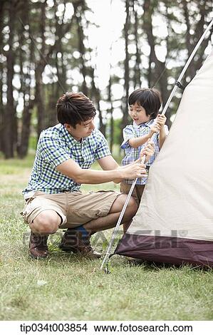 Picture - a father and son building a tent. Fotosearch