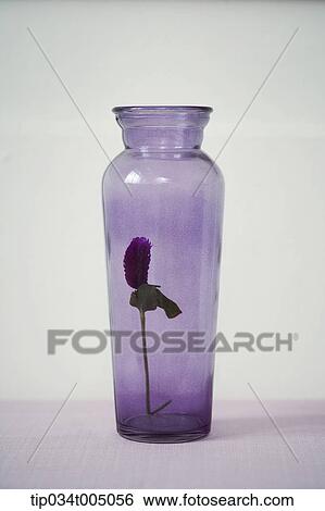Stock Photograph - a flower in a glass vase. Fotosearch