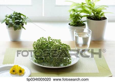 Stock Image - a plate with fresh plant and plant vases by a window . Fotosearch