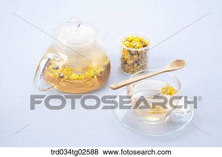 Stock Photo - a teapot and a cup with yellow chrysanthemums flower tea. Fotosearch