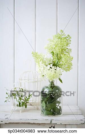 Stock Image - a vase with flowers on a white table. Fotosearch