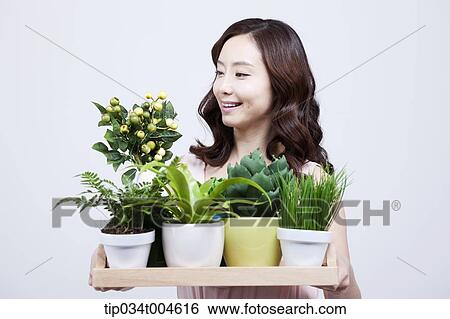 Stock Photograph - A woman holding a tray of plants in different vases. Fotosearch