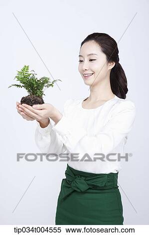 a woman in green skirt holding a plant with roots View Large Photo Image Stock Photography - a woman in green skirt holding a plant with roots. Fotosearch