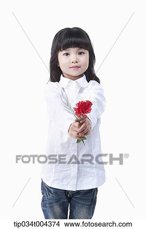 a young girl in a white shirt giving a red flower to you View Large Photo Image Picture - a young girl in a white shirt giving a red flower to you. Fotosearch