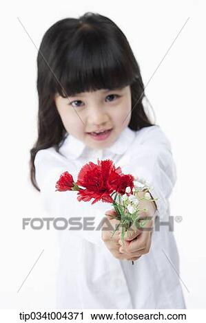 a young girl in a white shirt giving a red flower to you View Large Photo Image Stock Image - a young girl in a white shirt giving a red flower to you. Fotosearch