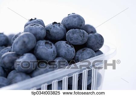 blue grapes in a plastic punnet View Large Photo Image Stock Photography - blue grapes in a plastic punnet. Fotosearch