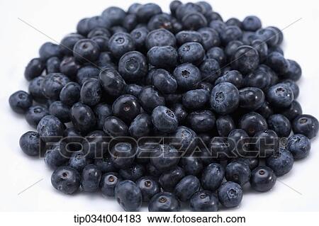 blueberries in white background View Large Photo Image Stock Image - blueberries in white background . Fotosearch