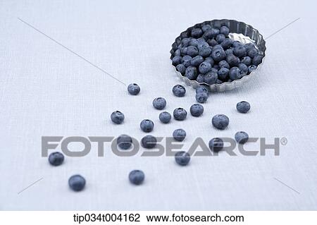 blueberries rolling out from a steel cap View Large Photo Image Stock Image - blueberries rolling out from a steel cap. Fotosearch