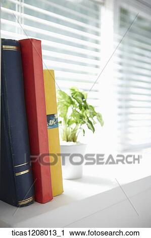 books and a plant on the window View Large Photo Image Stock Image - books and a plant on the window . Fotosearch