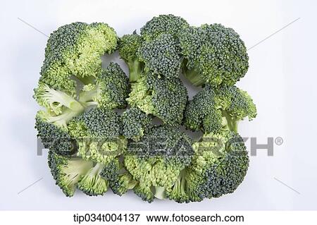 broccolis forming a shape of square View Large Photo Image Stock Photo - broccolis forming a shape of square . Fotosearch