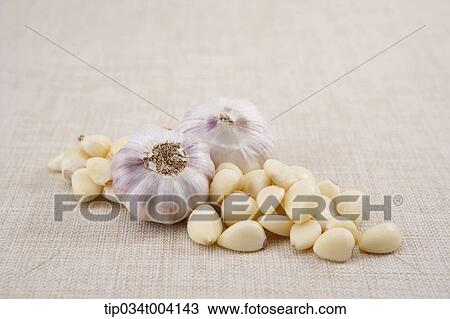garlic bulbs on cloves View Large Photo Image Stock Image - garlic bulbs on cloves. Fotosearch