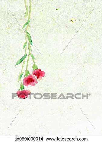 illustration drawing of rose plants hanging upside down View Large Photo Image Picture - illustration drawing of rose plants hanging upside down. Fotosearch
