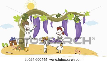 Stock Photography - illustration of a family harvesting eggplants . Fotosearch