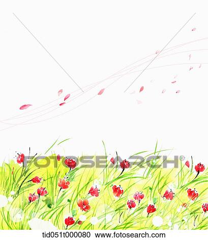 illustration of a field with flowers and plants View Large Photo Image Stock Image - illustration of a field with flowers and plants . Fotosearch