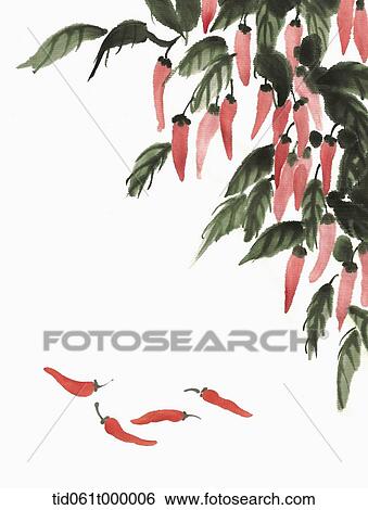illustration of red pepper tree View Large Photo Image Stock Photograph - illustration of red pepper tree. Fotosearch