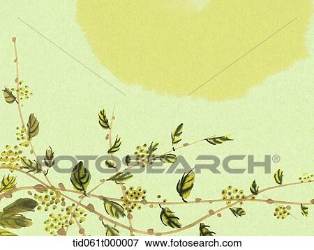 illustration of tree vines under a sun View Large Photo Image Stock Photo - illustration of tree vines under a sun. Fotosearch