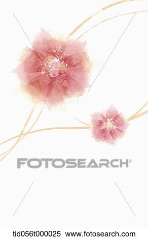 illustration of two pink flowers with orange curves View Large Photo Image Stock Photography - illustration of two pink flowers with orange curves. Fotosearch