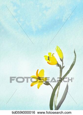 Stock Photograph - illustration painting of yellow flowers under a pure sky. Fotosearch