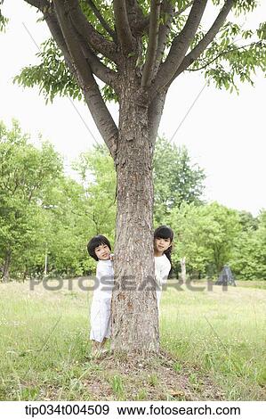 kids standing behind a tree View Large Photo Image Stock Photo - kids standing behind a tree. Fotosearch