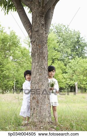 Stock Photography - kids standing behind a tree. Fotosearch