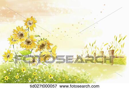 Stock Photo - painting illustration of sunflowers in the field . Fotosearch