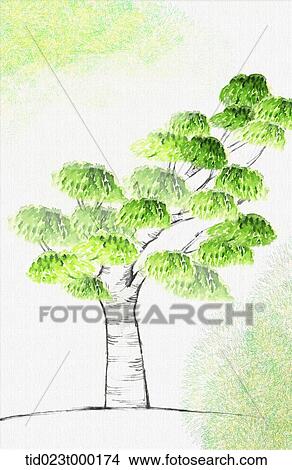 painting of a green tree View Large Photo Image Picture - painting of a green tree. Fotosearch